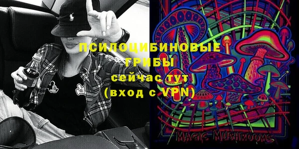 трава Кодинск