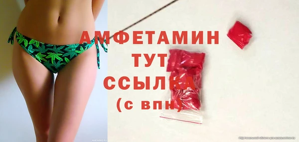 гашик Корсаков