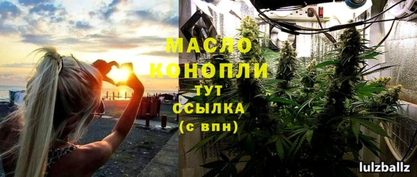 гашик Корсаков