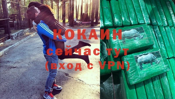 трава Кодинск