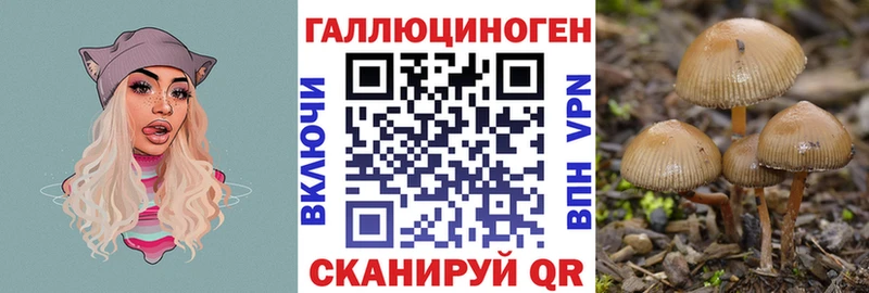 Купить закладки  Волгореченск  Псилоцибиновые грибы Magic Shrooms 